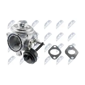 EGR-SK-003 NTY