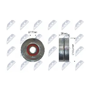 NTY RNK-MS-017