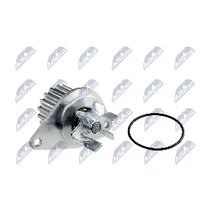 CPW-CT-031 NTY