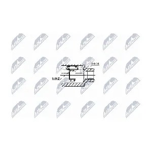 NTY NPW-NS-039
