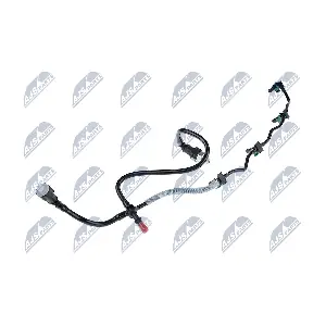 BPP-FR-001 NTY