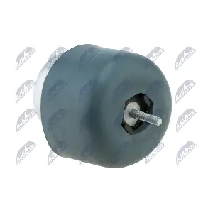 ZPS-AU-036 NTY