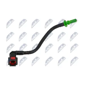 BPP-CT-018 NTY