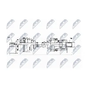 NPW-VV-018 NTY