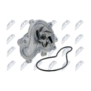 NTY CPW-CH-015