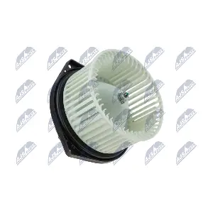 EWN-MS-002 NTY