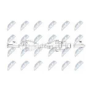 NTY NPW-FR-219