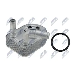 CCL-FR-009 NTY
