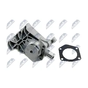 CPW-SK-006 NTY