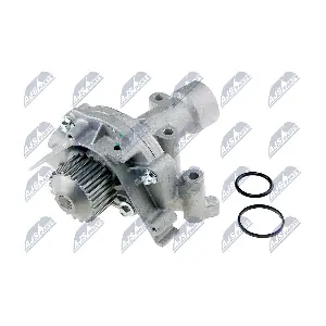 NTY CPW-CT-035