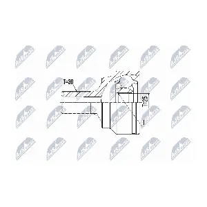 NPZ-ME-021 NTY