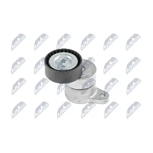 NTY RNK-MS-003