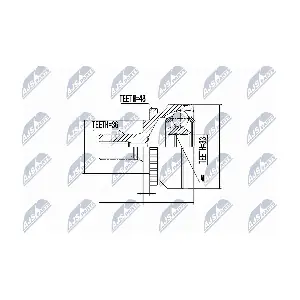 NTY NPZ-VV-012