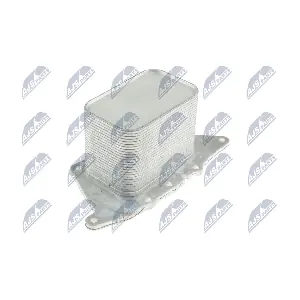 CCL-BM-025 NTY