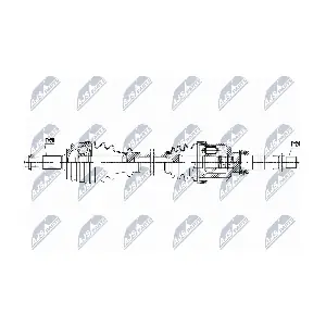 NPW-PE-079 NTY