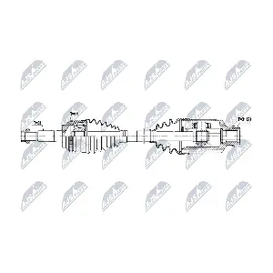 NTY NPW-FR-209