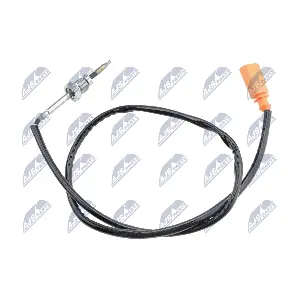 EGT-AU-038 NTY