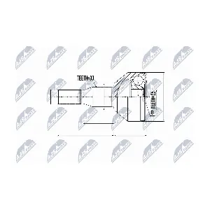 NTY NPZ-PL-031