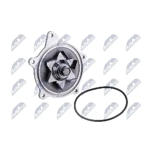 CPW-CH-001 NTY