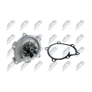 CPW-MS-054 NTY