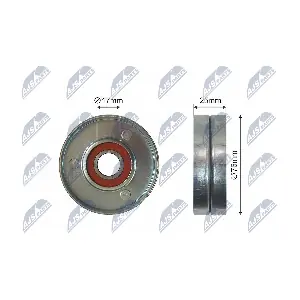 NTY RNK-DW-011