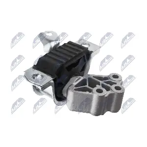 ZPS-FT-007 NTY