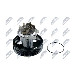 NTY CPW-CT-036