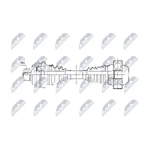 NPW-AU-082 NTY