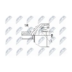 NTY NPZ-VV-024