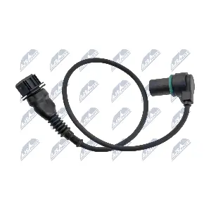 ECP-BM-015 NTY