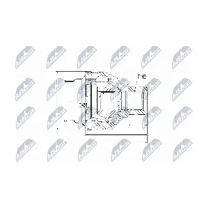 NPW-VW-031 NTY