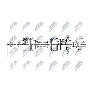 NPW-NS-049 NTY