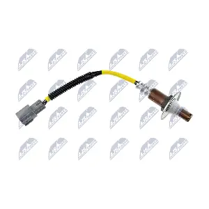 ESL-SB-017 NTY
