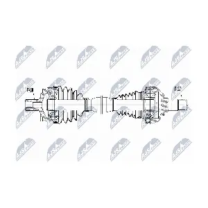 NPW-ME-066 NTY