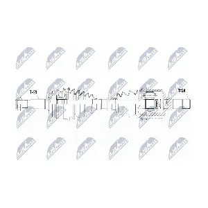 NPW-PE-021 NTY
