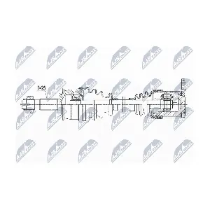 NPW-PL-137 NTY