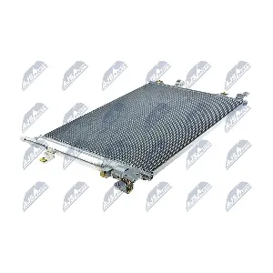 CCS-VV-006 NTY