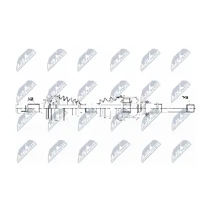 NPW-PE-017 NTY