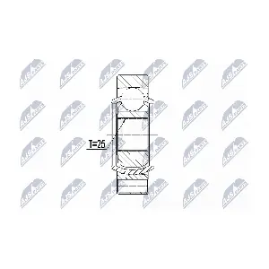 NPW-BM-068 NTY