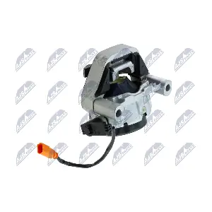 ZPS-AU-018 NTY