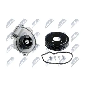 CPW-PL-049 NTY