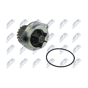 NTY CPW-PE-019