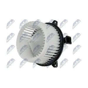 EWN-PL-003 NTY