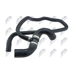CPP-PL-007 NTY