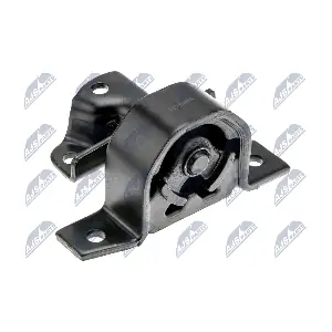 ZPS-NS-071 NTY