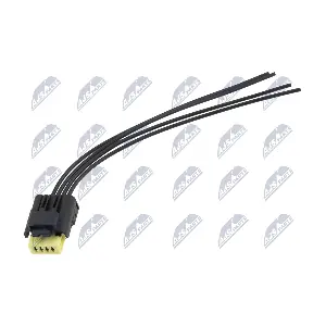 BPP-CT-032 NTY