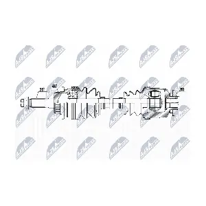 NPW-MZ-072 NTY
