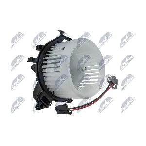 EWN-CT-006 NTY