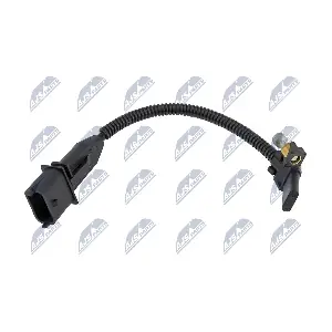 ECP-PL-013 NTY
