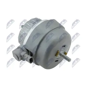 ZPS-AU-011 NTY
